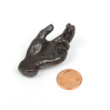 Anne Ricketts Sculptures - Hand Series