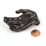 Anne Ricketts Sculptures - Hand Series