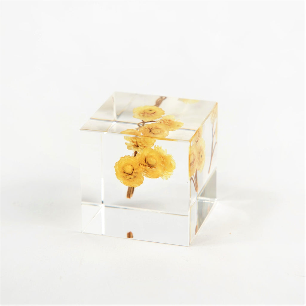 Sola Cubes - Botanicals