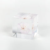 Sola Cubes - Botanicals