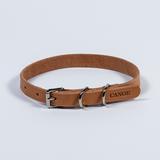 Leather Dog Collars & Leash