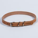 Leather Dog Collars & Leash